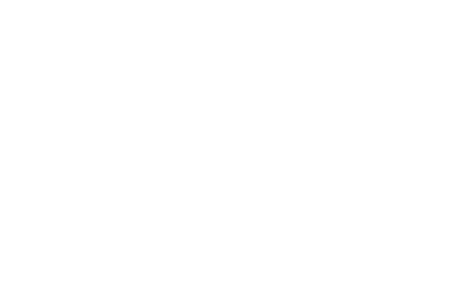 Natural State Tax Advisors Logo